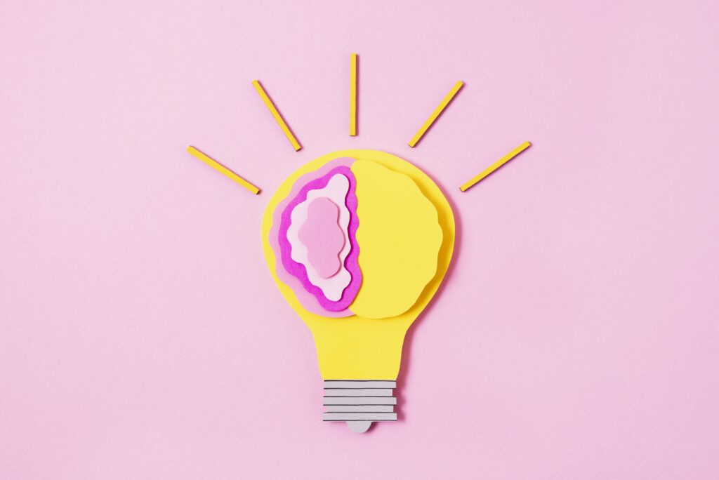 fikri mülkiyet rehberi